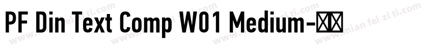 PF Din Text Comp W01 Medium字体转换